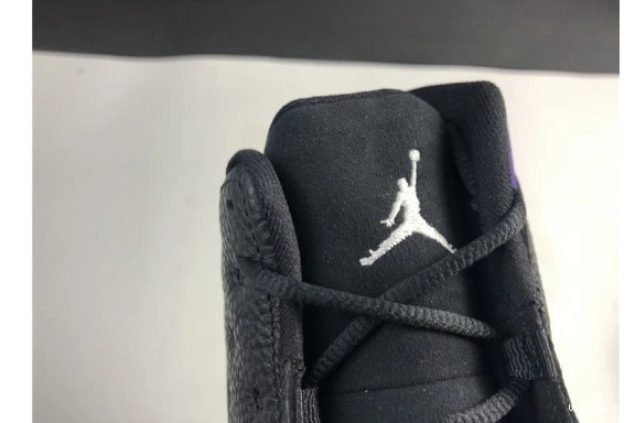 Air Jordan Retro DJ5982-015 Court Purple DJ5982-015 13  0630